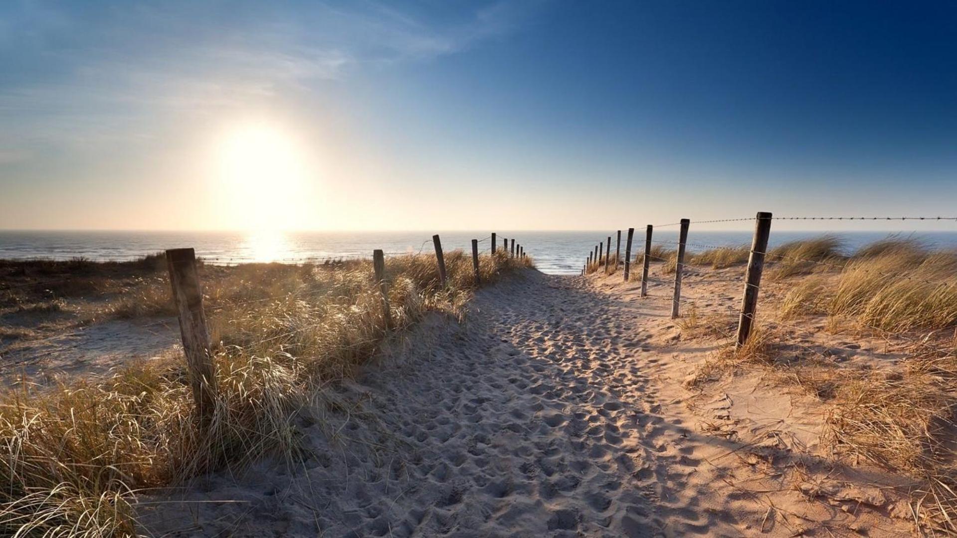 Sunny Dunes Zandvoort Eksteriør billede
